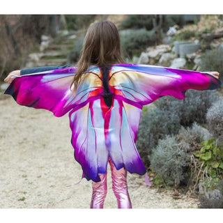Ombre Butterfly Soft Wings