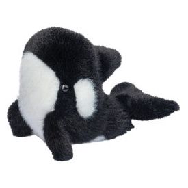 Lil Baby Orca Whale