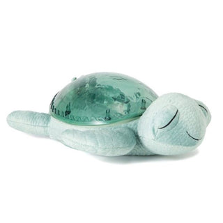 Tranquil Turtle - Green