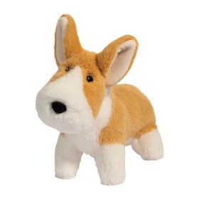 Carl Corgi Muzzle Dog