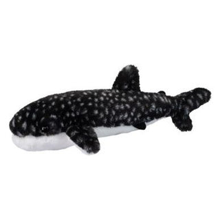 Barnacle Whale Shark