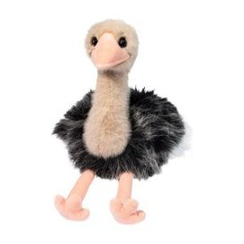 Amar Ostrich