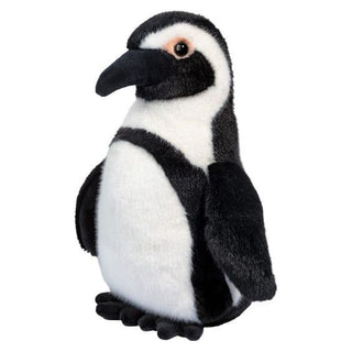 Zuri African Penguin