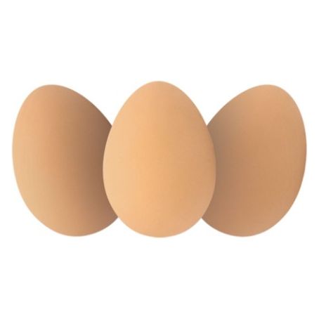 Bouncy Egg