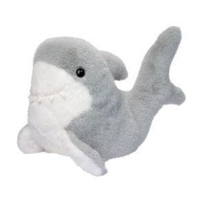Surfer Shark