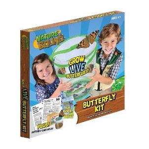 Butterfly Kit
