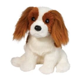 Kingsley King Charles Cavalier