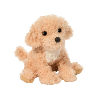 Noodle Goldendoodle
