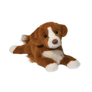 Rush Duck Tolling Retriever