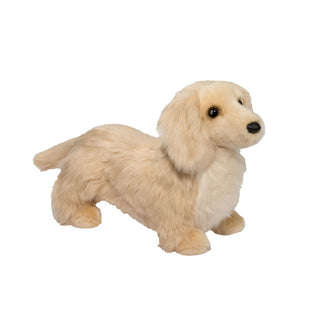 Haisley Golden Dachshund