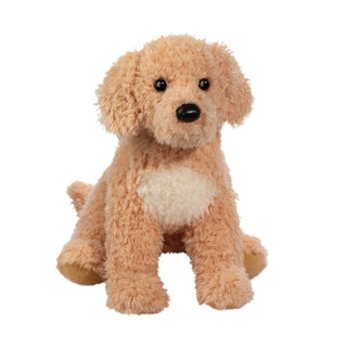 Noodle Goldendoodle Large