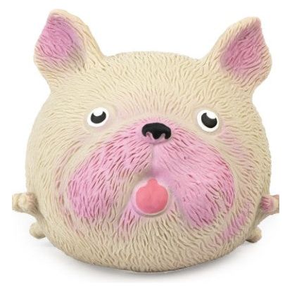 Squidgy Pooch