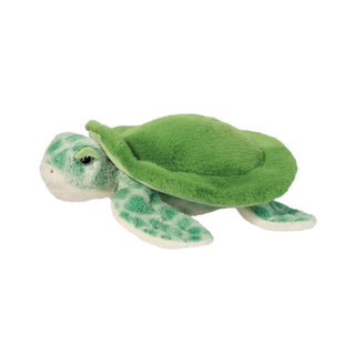 Drift Sea Turtle