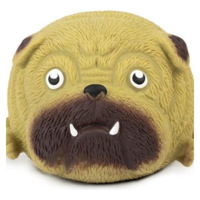 Squidgy Pooch