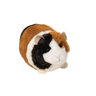 Pippin Guinea Pig
