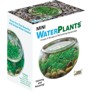 Mini Waterplants