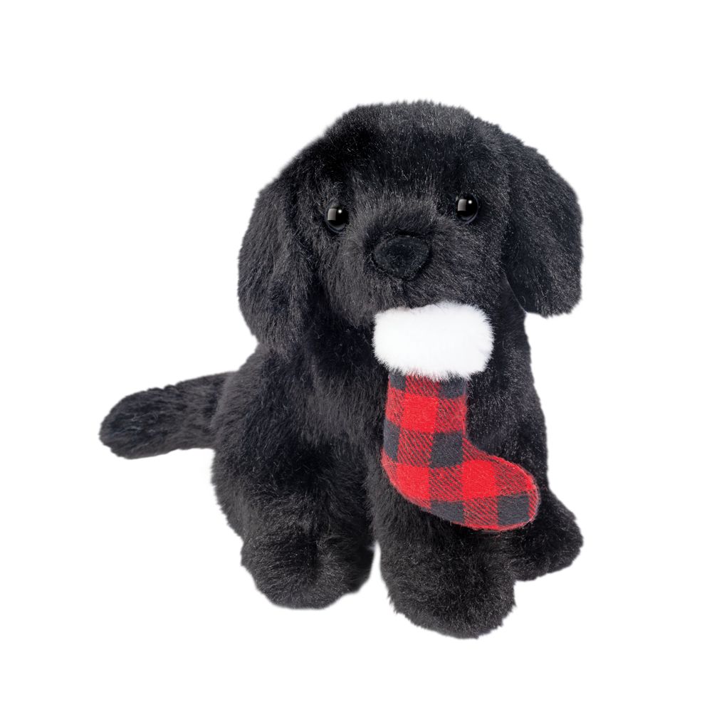 Holiday Mini Sitting Friends Cover