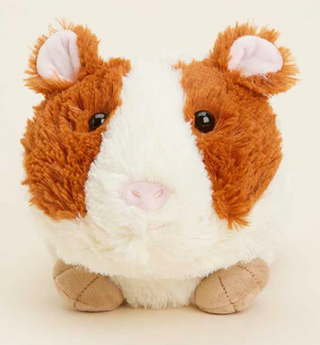 Guinea Pig Warmie
