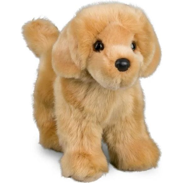 Chap Golden Retriever