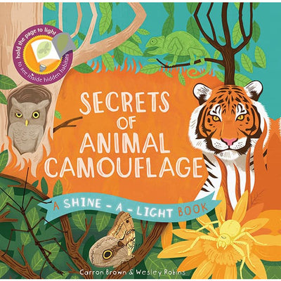 Shine-a-Light Series Secrets of Animal Camouflage