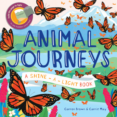 Shine-a-Light Series Animal Journeys