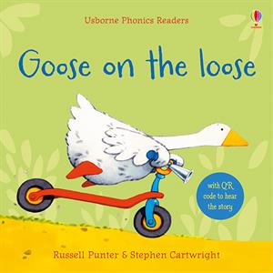 Phonics Books Goose on the Loose