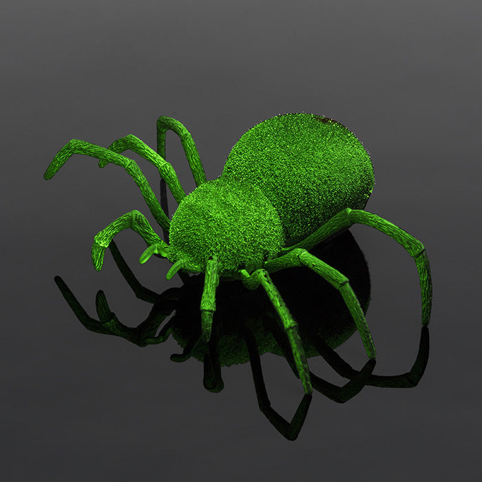 RC Spooky Spider