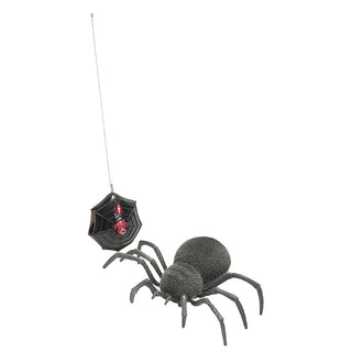 RC Spooky Spider 