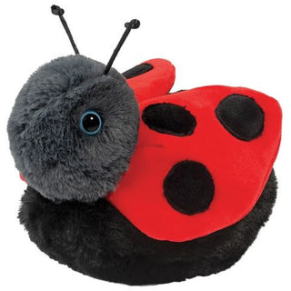 Bert Ladybug