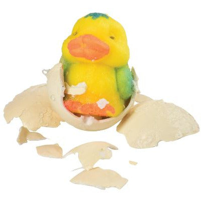 Hatch 'n Grow Duck