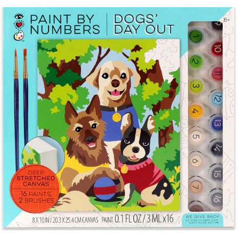 Paint By Number Cover