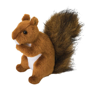 Roadie Red Squirrel