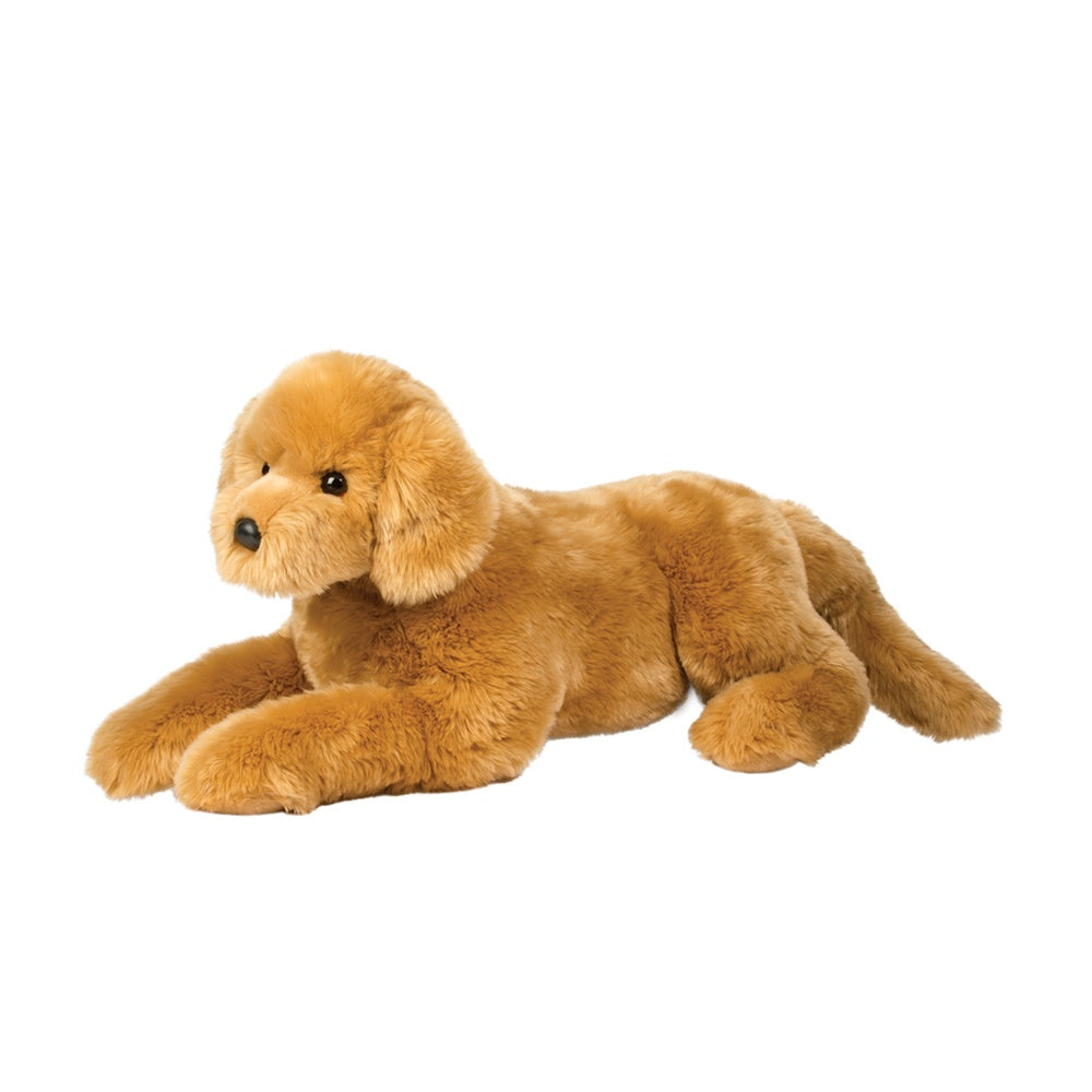 Sherman Golden Retriever - Medium