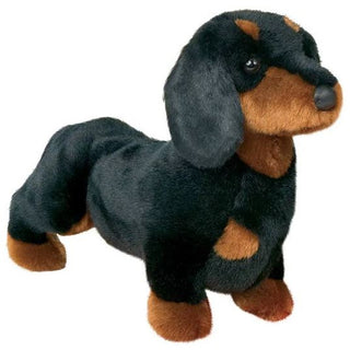 Spats Black & Tan Dachshund 