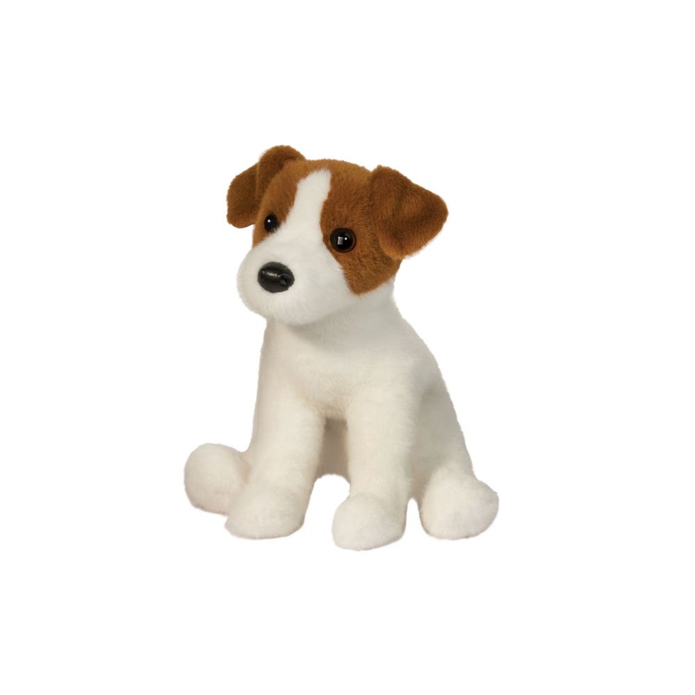 Fiona Jack Russell Terrier