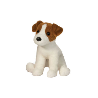 Fiona Jack Russell Terrier 