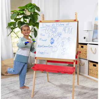 Deluxe Easel and Magnetic Boards 