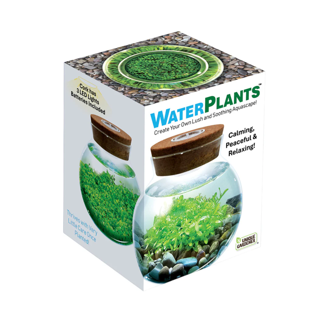 Water Plants - Create Your Own Lush and Soothing Aquascape