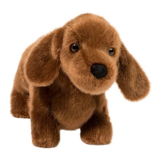 Dilly Dachshund