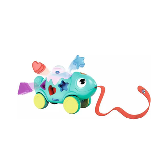 Color & Shape Sorter: Chameleon 