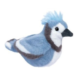 Denim Blue Jay 