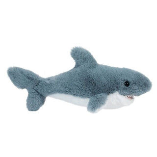 Torpedo Shark 