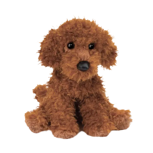 Ginger Miniature Poodle