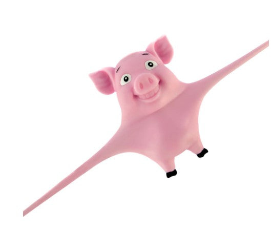 Stretch 'N Smash Pig