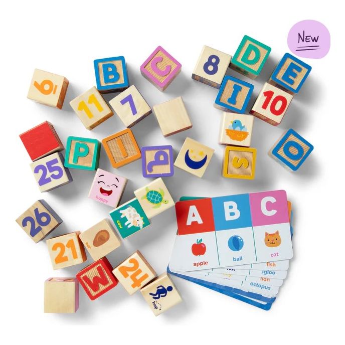 Ms. Rachel Wooden Learning Blocks