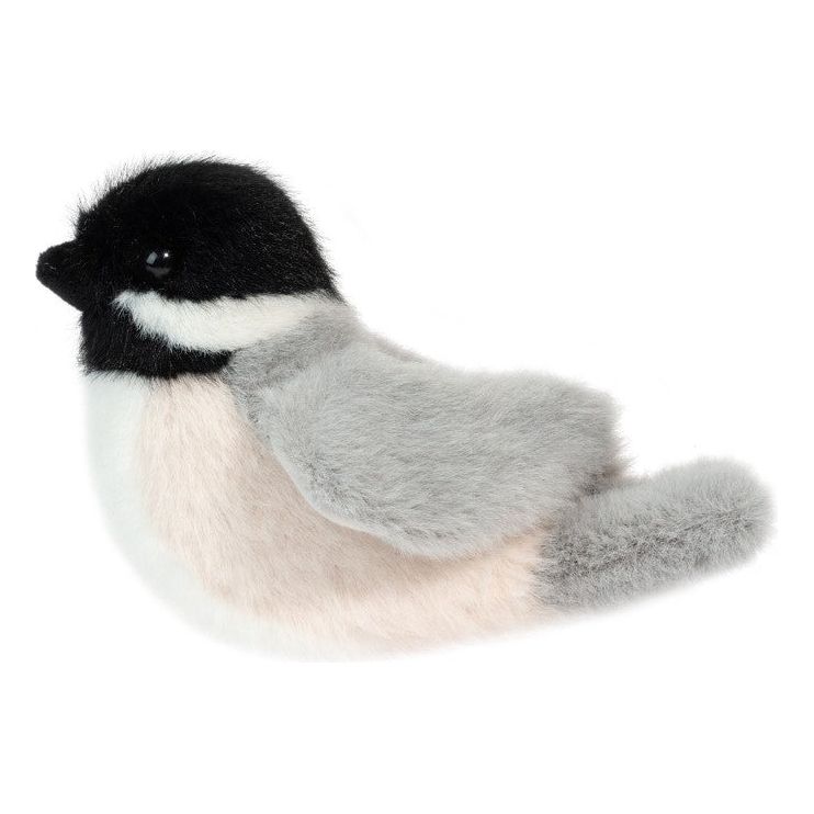 Chipper Chickadee