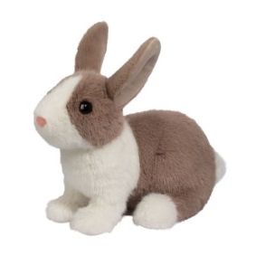 Daffodil Dutch Bunny 