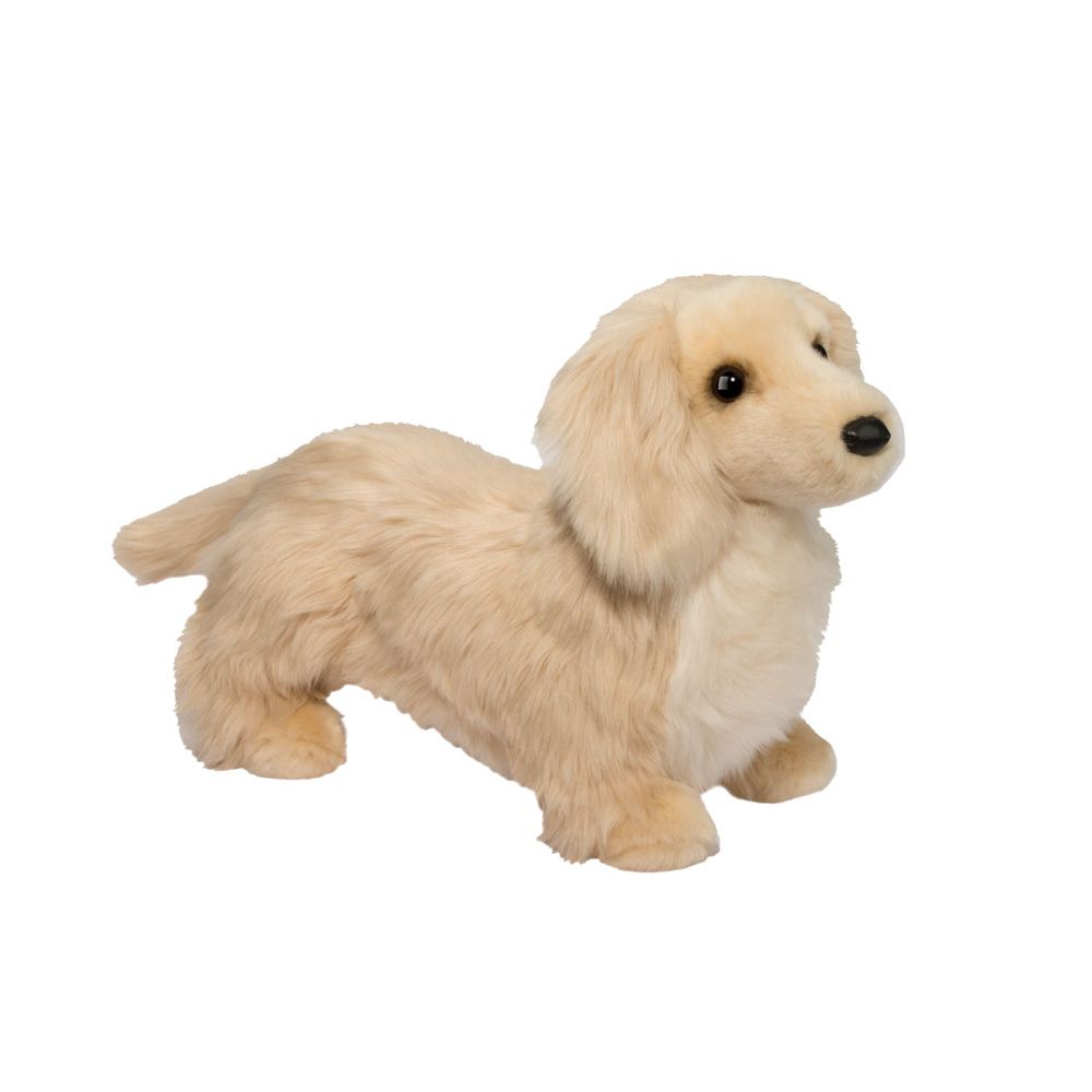 Haisley Golden Dachshund