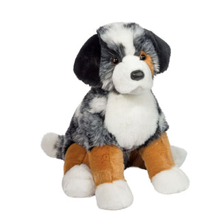 Aspen Australian Shepherd 