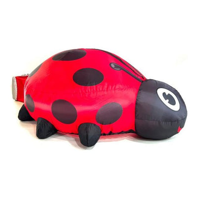 Air Fort Ladybug